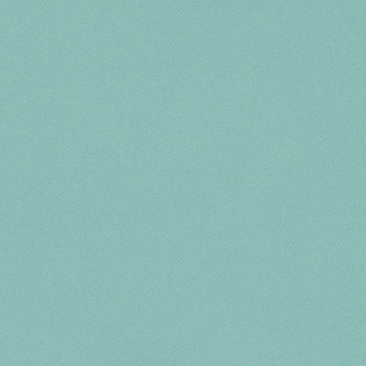 Blake Polished Cotton Veridian 69567 by Schumacher Fabric Schumacher Fabric Blake Polished Cotton Veridian 69567Fabric COTTON 100% INDIA </p><p>Repeat: H: , V: 55.5 - Fabric Carolina -