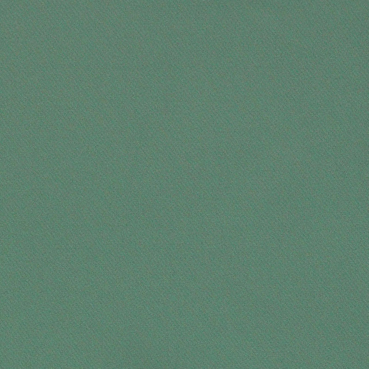 Blake Polished Cotton Boxwood 69569 by Schumacher Fabric PERFECT BASICS: BLAKE See Sample INDIA MEDIUM </p><p>Repeat: Horizontal: - and Vertical: - 55 1/2" (141CM) - Fabric Carolina -