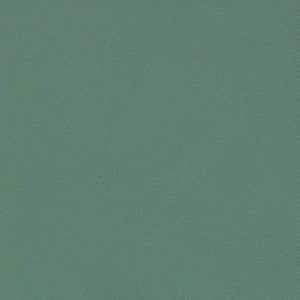 Blake Polished Cotton Boxwood 69569 by Schumacher Fabric