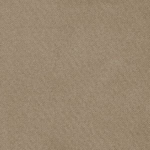Blake Polished Cotton Prairie 69578 by Schumacher Fabric