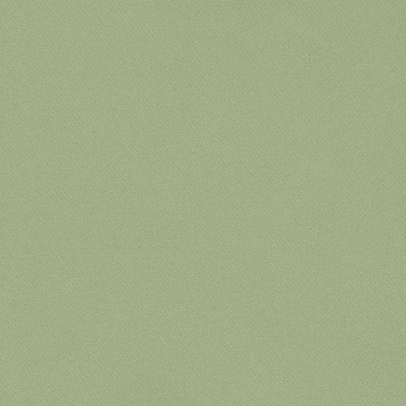 Blake Polished Cotton Moss 69591 by Schumacher Fabric Schumacher Fabric Blake Polished Cotton Moss 69591Fabric COTTON 100% INDIA </p><p>Repeat: H: , V: 55.5 - Fabric Carolina -