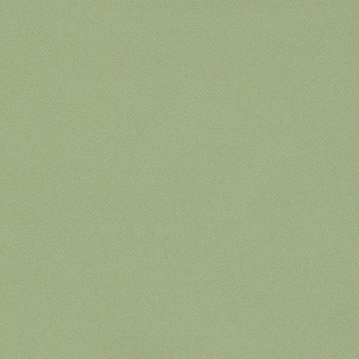 Blake Polished Cotton Moss 69591 by Schumacher Fabric Schumacher Fabric Blake Polished Cotton Moss 69591Fabric COTTON 100% INDIA </p><p>Repeat: H: , V: 55.5 - Fabric Carolina -