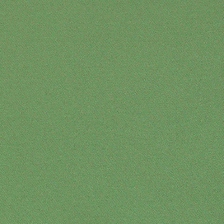 Blake Polished Cotton Oregano 69592 by Schumacher Fabric PERFECT BASICS: BLAKE COTTON 100% INDIA MARTINDALE 30,000 </p><p>Repeat: Horizontal: and Vertical: 55.5 - Fabric Carolina -