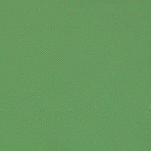 Blake Polished Cotton Grass 69593 by Schumacher Fabric