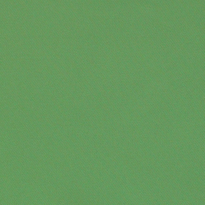 Blake Polished Cotton Grass 69593 by Schumacher Fabric PERFECT BASICS: BLAKE COTTON 100% INDIA MARTINDALE 30,000 </p><p>Repeat: Horizontal: and Vertical: 55.5 - Fabric Carolina -