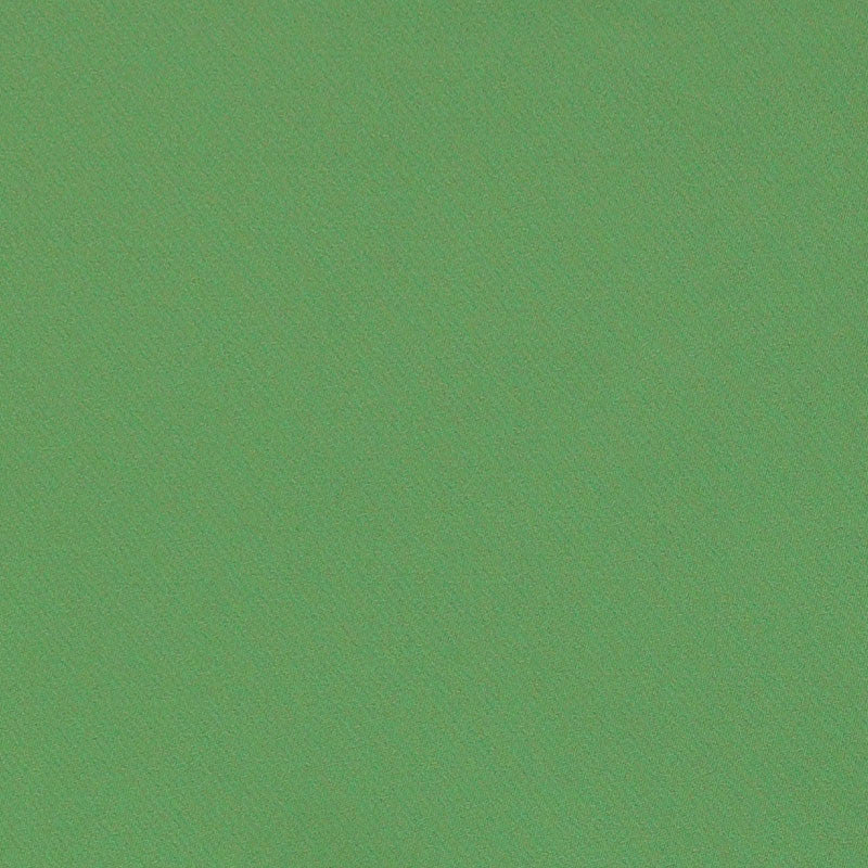 Blake Polished Cotton Grass 69593 by Schumacher Fabric PERFECT BASICS: BLAKE See Sample INDIA MEDIUM </p><p>Repeat: Horizontal: - and Vertical: - 55 1/2" (141CM) - Fabric Carolina -