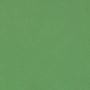 Blake Polished Cotton Grass 69593 by Schumacher Fabric