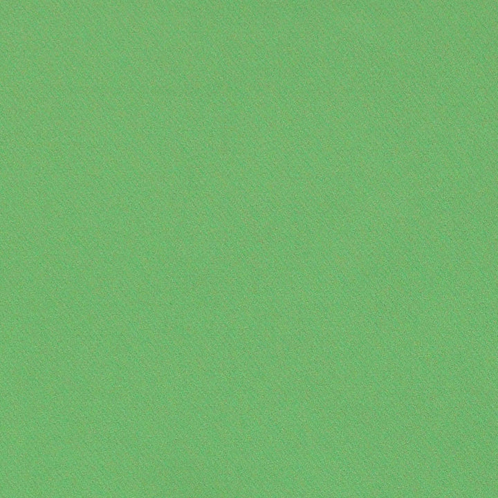 Blake Polished Cotton Kiwi 69594 by Schumacher Fabric Schumacher Fabric Blake Polished Cotton Kiwi 69594Fabric COTTON 100% INDIA </p><p>Repeat: H: , V: 55.5 - Fabric Carolina -