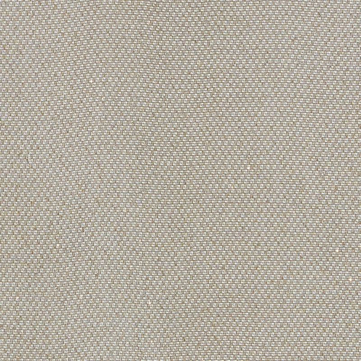 Giorgio Sheer Platinum 69680 by Schumacher Fabric Understated-Luxury 34% Cotton, 30% Polyester, 23% Linen, 13% Viscose - Horizontal: - and Vertical: - 56 - Fabric Carolina -