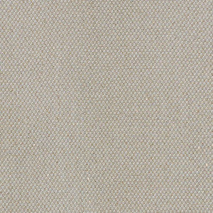 Giorgio Sheer Platinum 69680 by Schumacher Fabric