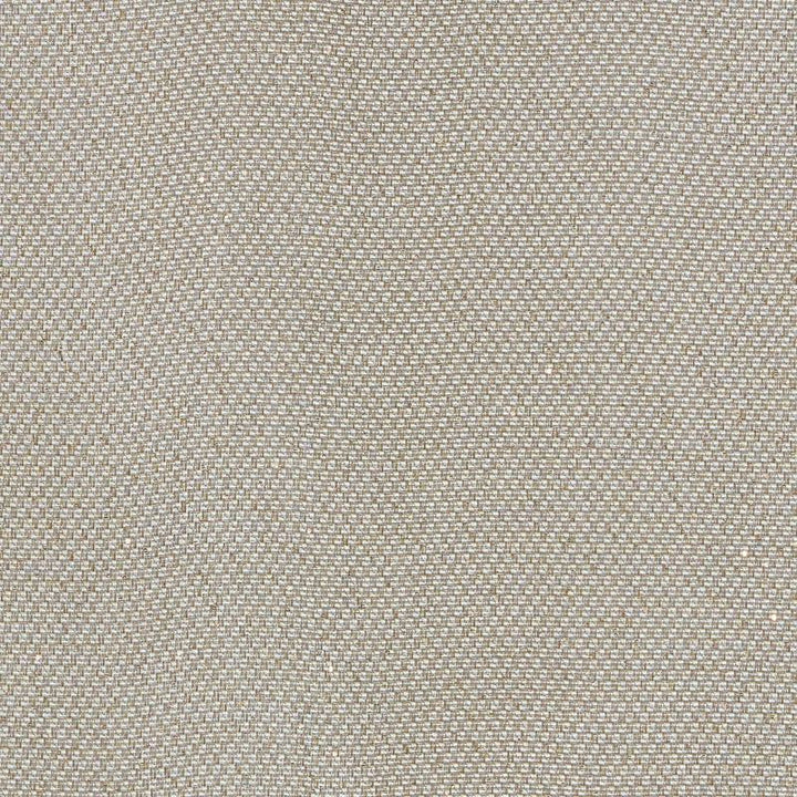 Giorgio Sheer Platinum 69680 by Schumacher Designer Fabric Understated-Luxury 34% Cotton, 30% Polyester, 23% Linen, 13% Viscose - Horizontal: - and Vertical: - 56 - Swanky Fabrics -