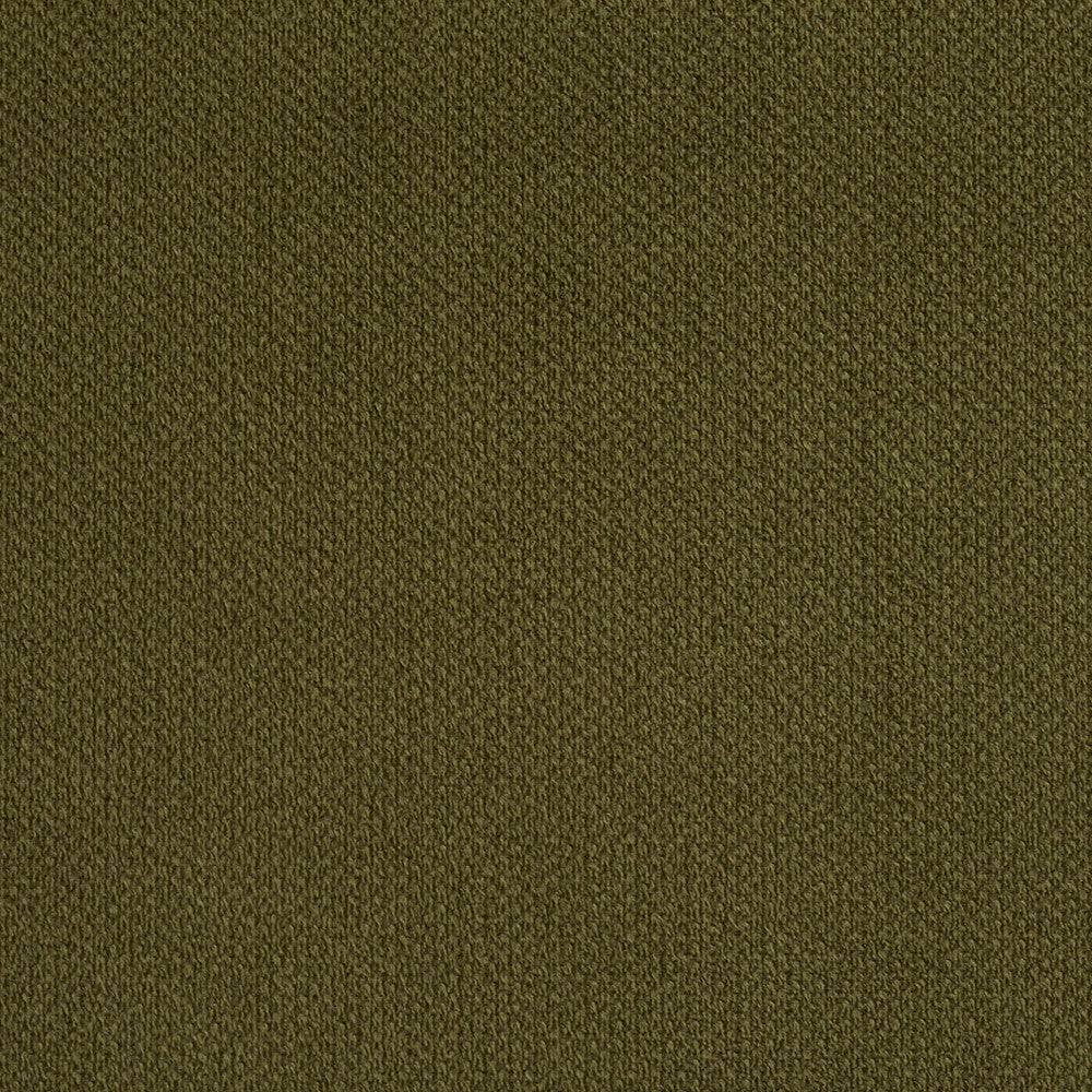 6972 Sage by Charlotte Fabric Ring Book Page #25A 100% Woven Polyester Asia Exceeds 140,000 Wyzenbeek Rubs (Heavy Duty) </p><p>Repeat: No Repeat 54 Inches - Fabric Carolina -