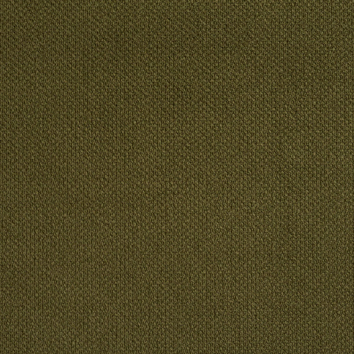 6972 Sage by Charlotte Fabric Ring Book Page #25A 100% Woven Polyester Asia Exceeds 140,000 Wyzenbeek Rubs (Heavy Duty) No Repeat 54 Inches - Fabric Carolina -