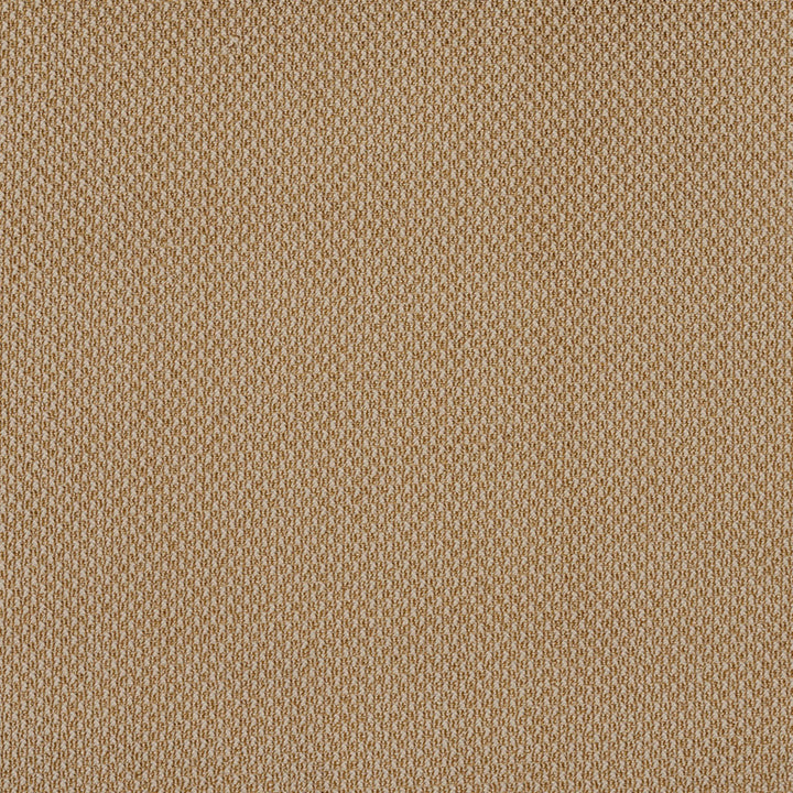 6973 Fawn by Charlotte Fabric Ring Book Page #25A 100% Woven Polyester Asia Exceeds 140,000 Wyzenbeek Rubs (Heavy Duty) No Repeat 54 Inches - Fabric Carolina -