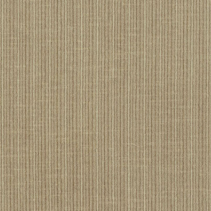 Antique Strie Velvet Sparrow 69741 by Schumacher Fabric Perfect-Basics-Antique-Strie-Velvet 65% Cotton, 35% Viscose Wyzenbeek 100,000 Horizontal: - and Vertical: - 54 - Fabric Carolina -