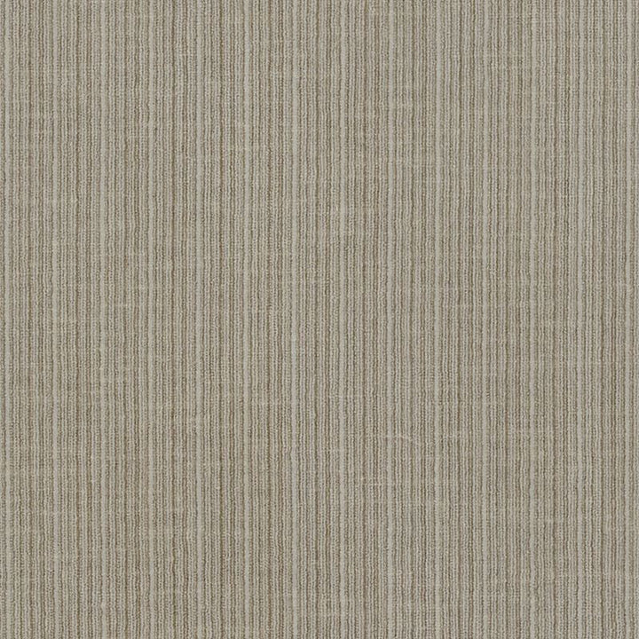 Antique Strie Velvet Driftwood 69742 by Schumacher Fabric Perfect-Basics-Antique-Strie-Velvet 65% Cotton, 35% Viscose Wyzenbeek 100,000 Horizontal: - and Vertical: - 54 - Fabric Carolina -