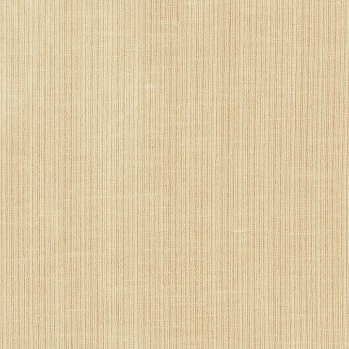 Antique Strie Velvet Sand 69759 by Schumacher Fabric Perfect-Basics-Antique-Strie-Velvet 65% Cotton, 35% Viscose Wyzenbeek 100,000 Horizontal: - and Vertical: - 54 - Fabric Carolina -