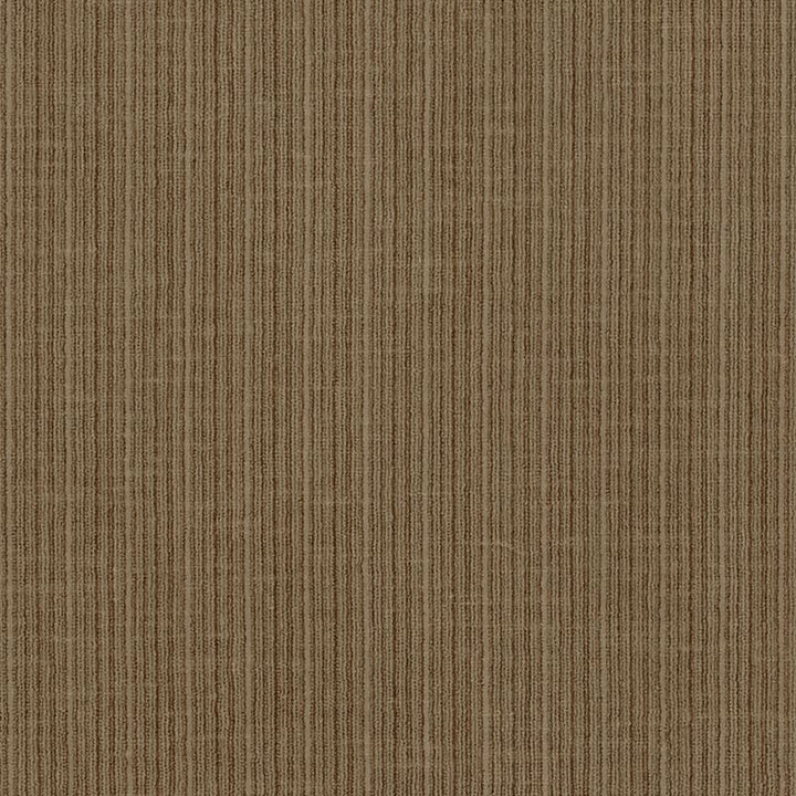 Antique Strie Velvet Antelope 69762 by Schumacher Fabric Perfect-Basics-Antique-Strie-Velvet 65% Cotton, 35% Viscose Wyzenbeek 100,000 Horizontal: - and Vertical: - 54 - Fabric Carolina -