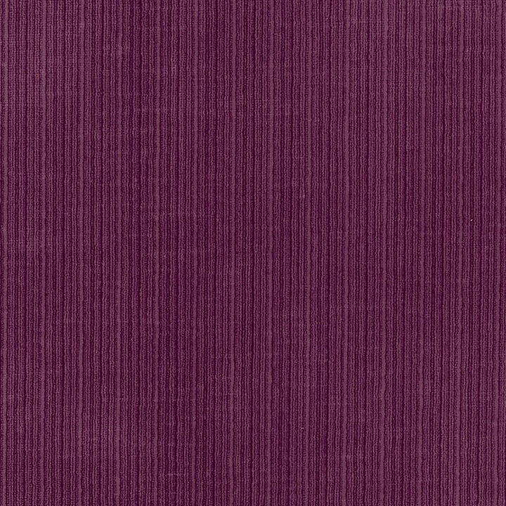 Antique Strie Velvet Plum 69769 by Schumacher Fabric Perfect-Basics-Antique-Strie-Velvet 65% Cotton, 35% Viscose Wyzenbeek 100,000 Horizontal: - and Vertical: - 54 - Fabric Carolina -