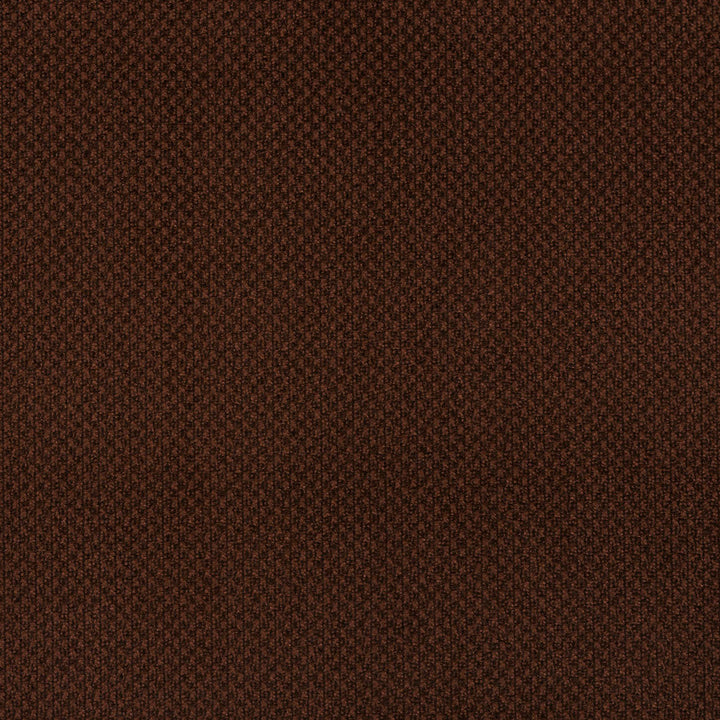 6976 Chocolate by Charlotte Designer Fabric Ring Book Page #25A 100% Woven Polyester Asia Exceeds 140,000 Wyzenbeek Rubs (Heavy Duty) No Repeat 54 Inches - Swanky Fabrics -