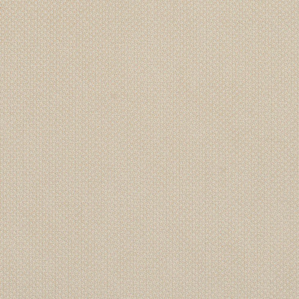 6977 Ivory by Charlotte Fabric Ring Book Page #25A 100% Woven Polyester Asia Exceeds 140,000 Wyzenbeek Rubs (Heavy Duty) No Repeat 54 Inches - Fabric Carolina -