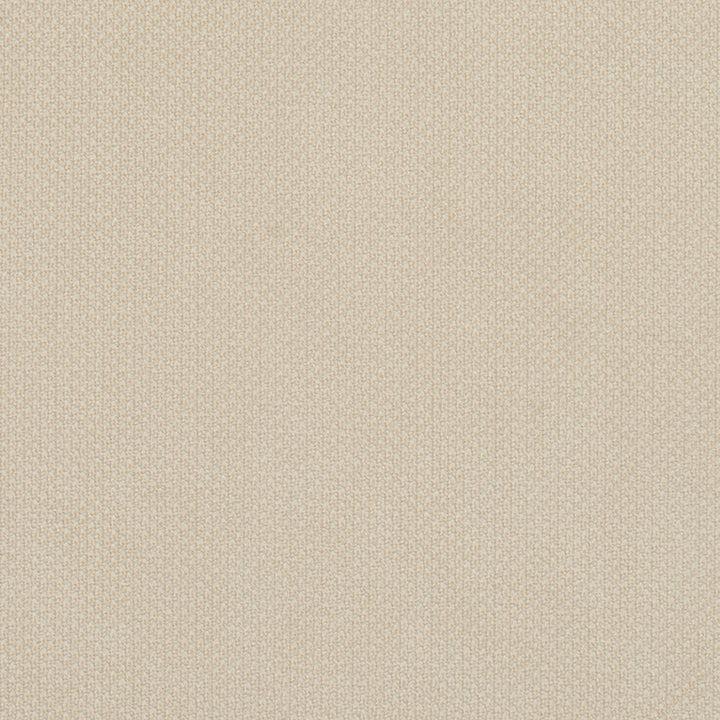 6977 Ivory by Charlotte Fabric Ring Book Page #25A 100% Woven Polyester Asia Exceeds 140,000 Wyzenbeek Rubs (Heavy Duty) </p><p>Repeat: 54 Inches - Fabric Carolina -