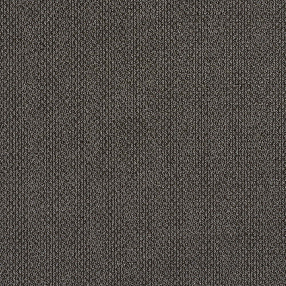 6979 Slate by Charlotte Designer Fabric Ring Book Page #25A 100% Woven Polyester Asia Exceeds 140,000 Wyzenbeek Rubs (Heavy Duty) No Repeat 54 Inches - Swanky Fabrics -