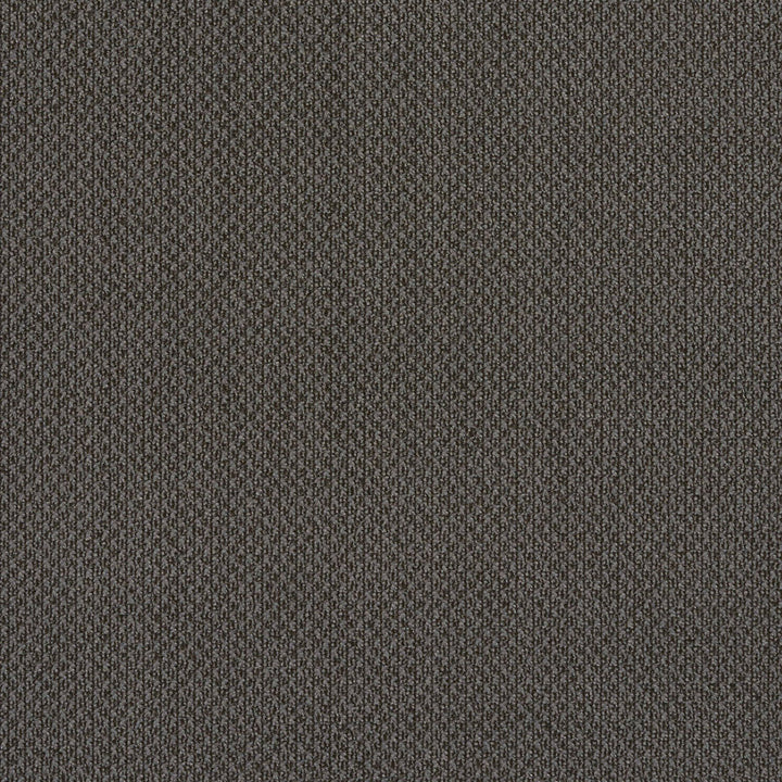 6979 Slate by Charlotte Designer Fabric Ring Book Page #25A 100% Woven Polyester Asia Exceeds 140,000 Wyzenbeek Rubs (Heavy Duty) No Repeat 54 Inches - Swanky Fabrics -