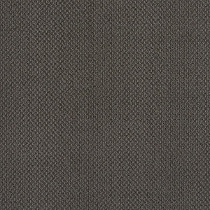 6979 Slate by Charlotte Fabric