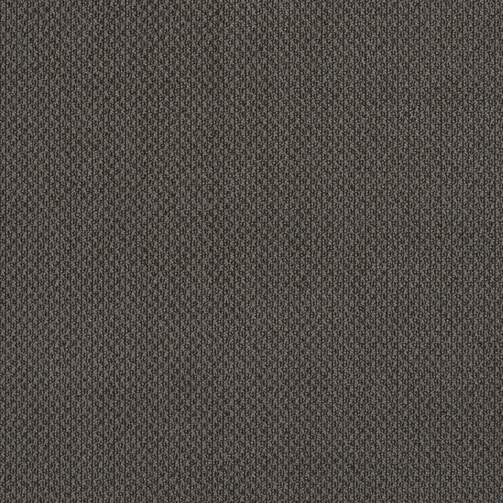 6979 Slate by Charlotte Fabric Ring Book Page #25A 100% Woven Polyester Asia Exceeds 140,000 Wyzenbeek Rubs (Heavy Duty) No Repeat 54 Inches - Fabric Carolina -