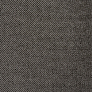 6979 Slate by Charlotte Fabric