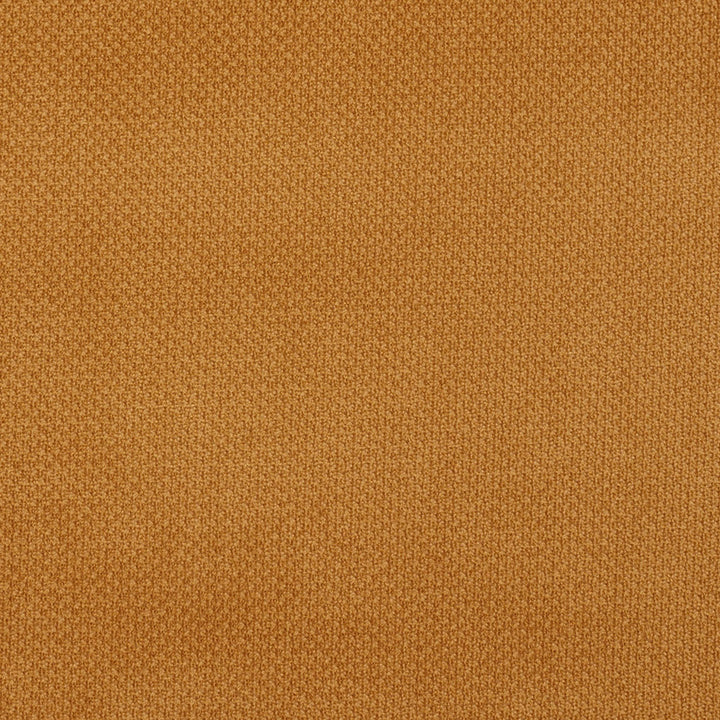 6980 Camel by Charlotte Fabric Ring Book Page #25A 100% Woven Polyester Asia Exceeds 140,000 Wyzenbeek Rubs (Heavy Duty) No Repeat 54 Inches - Fabric Carolina -