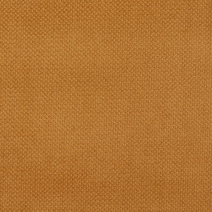 6980 Camel by Charlotte Fabric