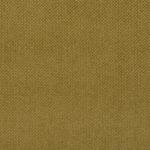 6981 Fern by Charlotte Fabric
