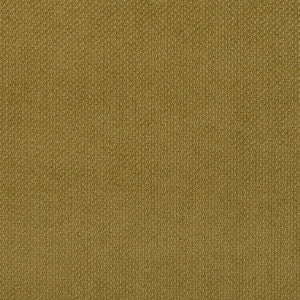 6981 Fern by Charlotte Fabric