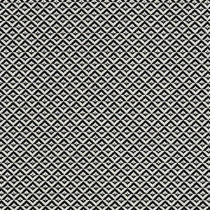 Jamison Black 69845 by Schumacher Fabric
