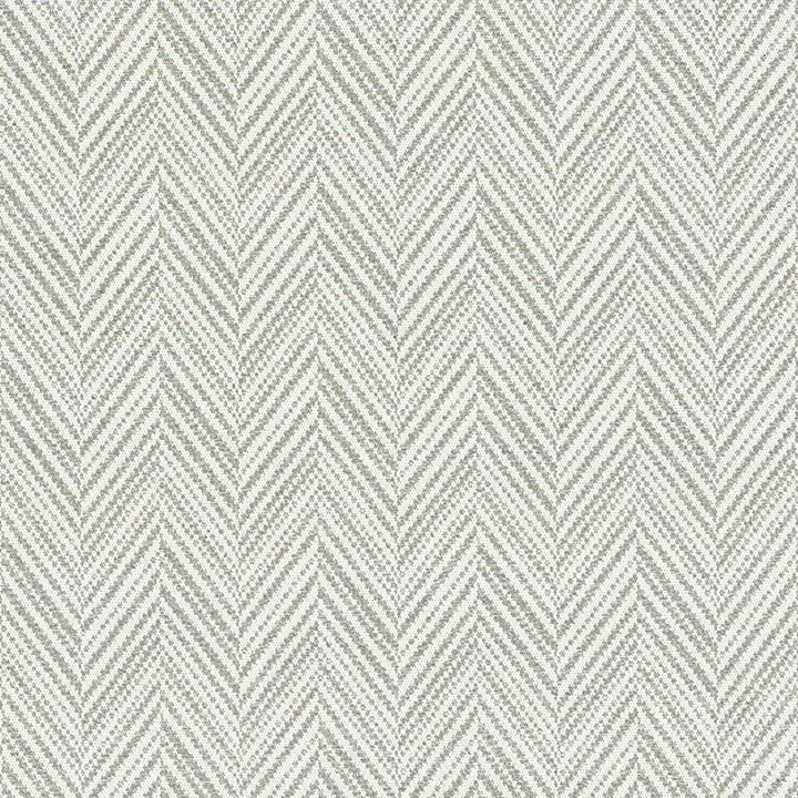 Davis Feather Grey 69881 by Schumacher Fabric Essentials-Small-Scale-Upholstery-Fabrics 64% Cotton, 24% Polyester, 6% Polyamide, 3% Linen Martindale 30,000 Horizontal: 2 7/8 and Vertical: 3.25 56 - Fabric Carolina -