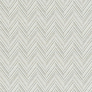 Davis Feather Grey 69881 by Schumacher Fabric