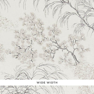 Mori Sheer Neutral 178361 by Schumacher Fabric