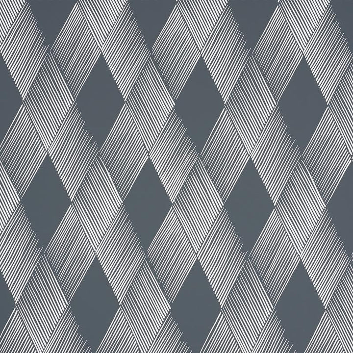 Fetlock Carbon 5007131 by Schumacher Designer Wallpaper Club Cavalier 9.0" - Swanky Fabrics -