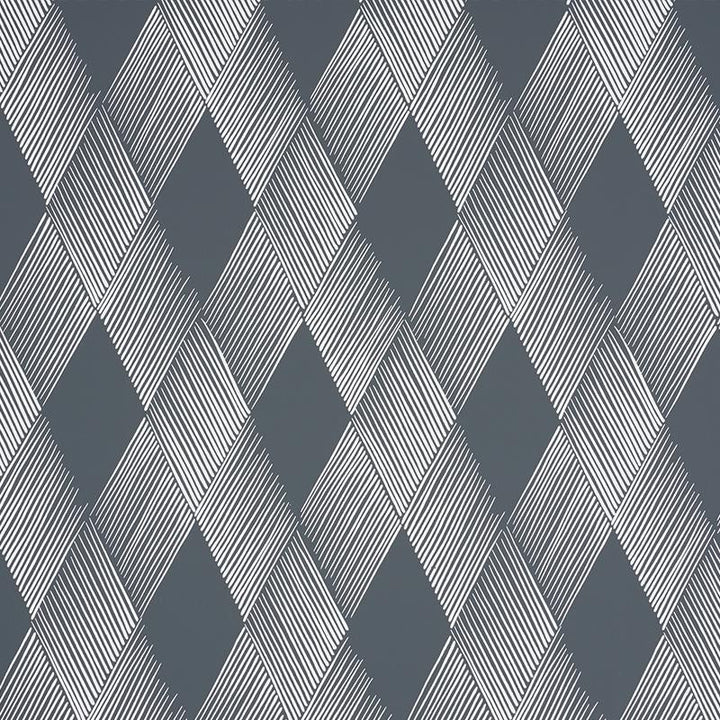 Fetlock Carbon 5007131 by Schumacher Wallpaper Club Cavalier 9.0" - Fabric Carolina -