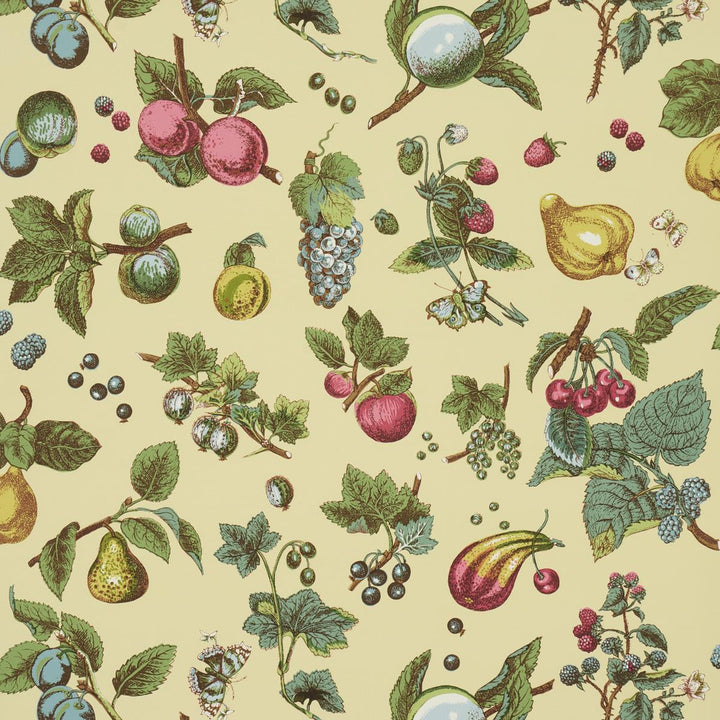Berry Grove Butter 5015650 by Schumacher Wallpaper Schumacher Classics 27.0" - Fabric Carolina -