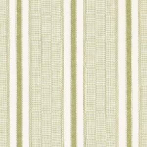 Ipala Stripe Vinyl Fern 5015802 by Schumacher Wallpaper