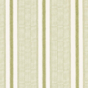 Ipala Stripe Vinyl Fern 5015802 by Schumacher Wallpaper