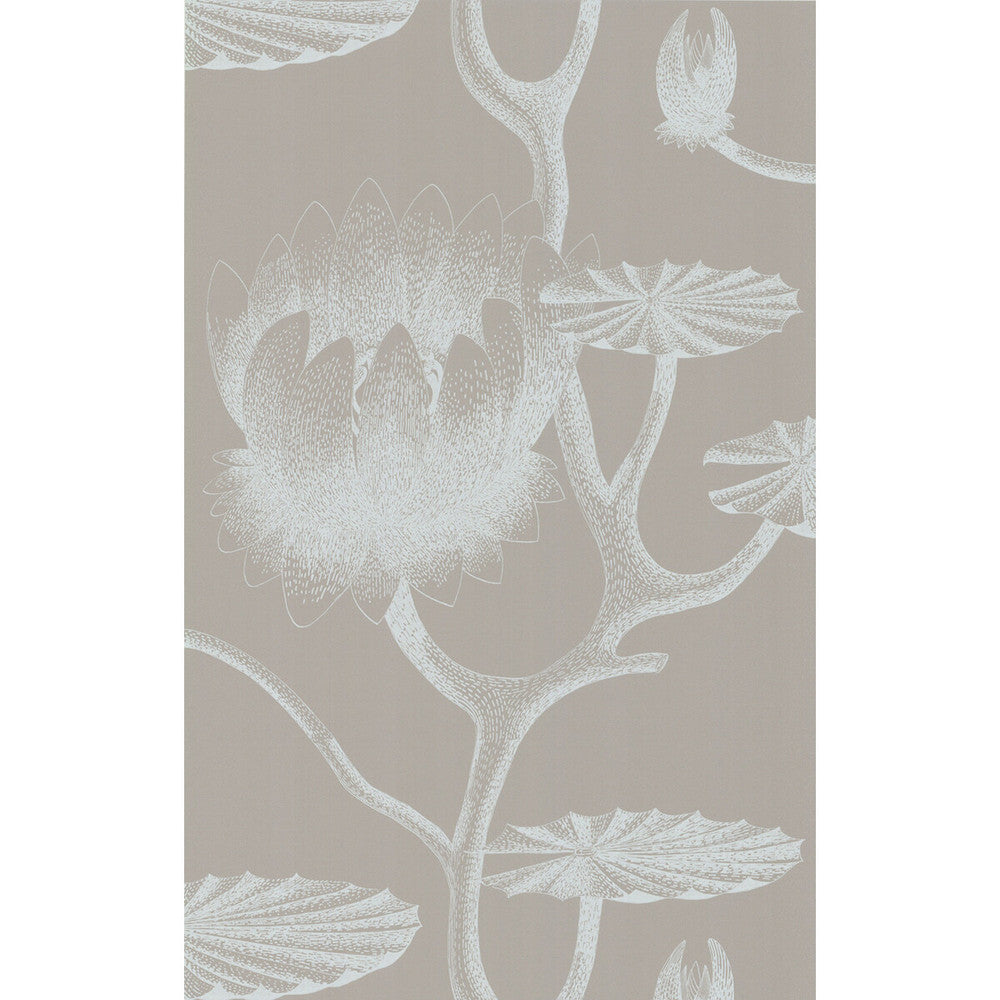 Lily White/Grey by Cole & Son Wallcovering COLE & SON NEW CONTEMPORARY II PAPER - 100% United Kingdom - Horizontal: - and Vertical: 30 20.5 - Fabric Carolina -