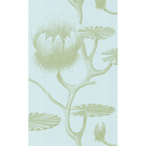 Lily Sage/Pale Blue by Cole & Son Wallcovering
