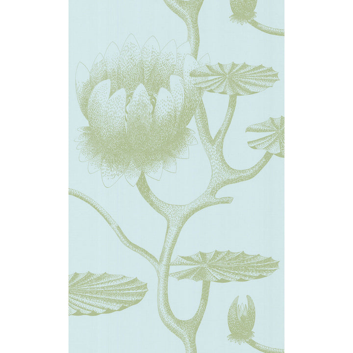 Lily Sage/Pale Blue by Cole & Son Wallcovering COLE & SON NEW CONTEMPORARY II PAPER - 100% United Kingdom Horizontal: and Vertical: 30 20.5 - Fabric Carolina -