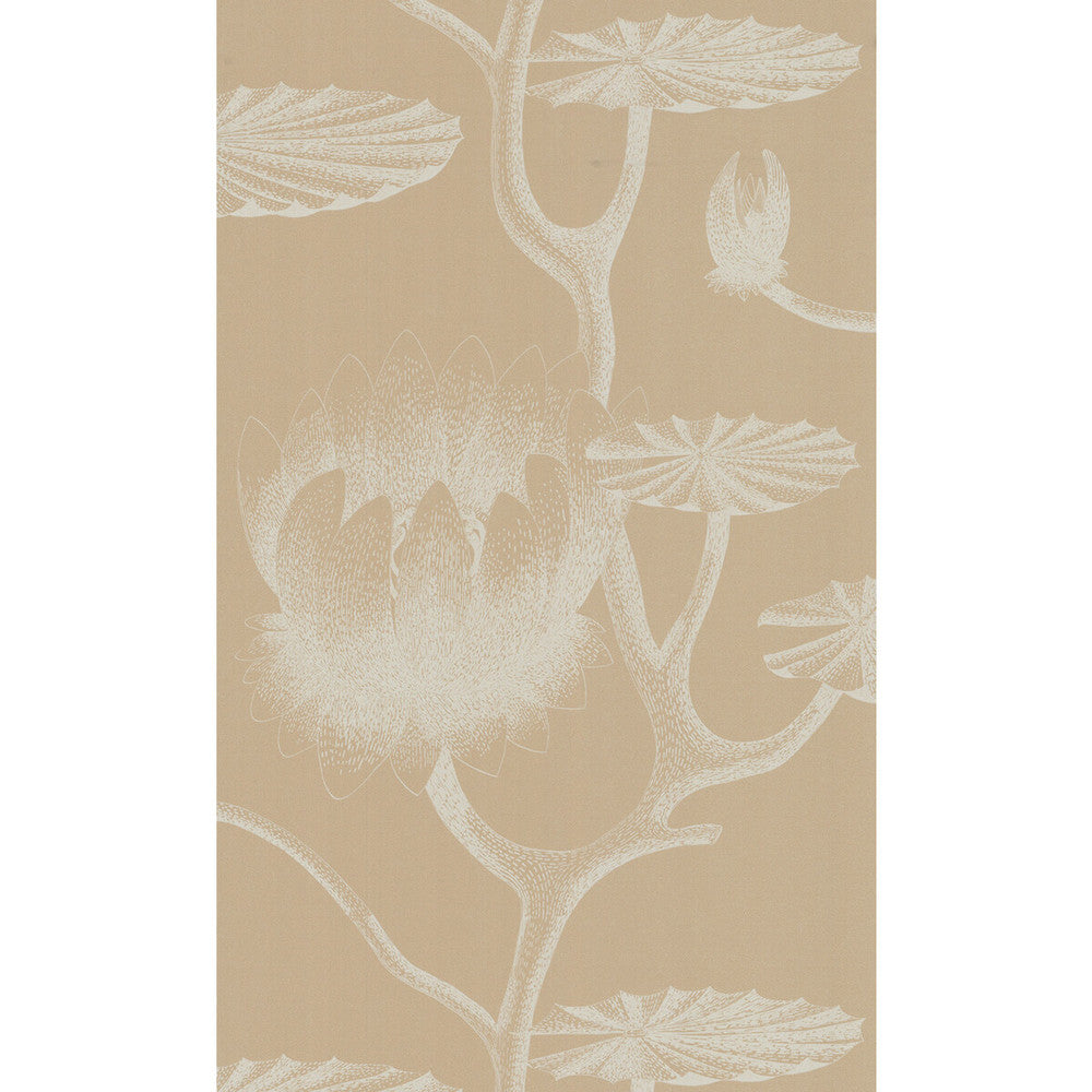 Lily Ivory/Sand by Cole & Son Wallcovering COLE & SON NEW CONTEMPORARY II PAPER - 100% United Kingdom - Horizontal: - and Vertical: - 20.5 - Fabric Carolina -