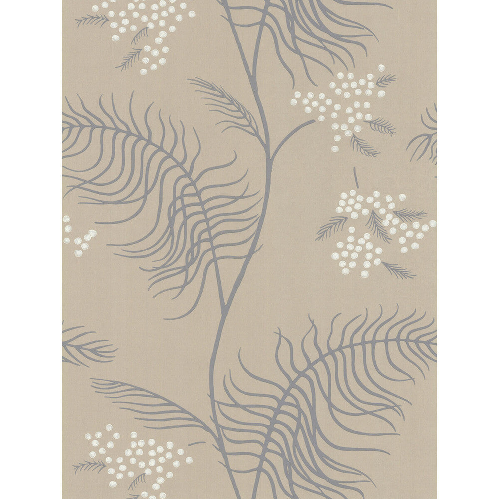Mimosa Sandstone by Cole & Son Wallcovering COLE & SON NEW CONTEMPORARY II PAPER - 100% United Kingdom Horizontal: and Vertical: 24 20.5 - Fabric Carolina -
