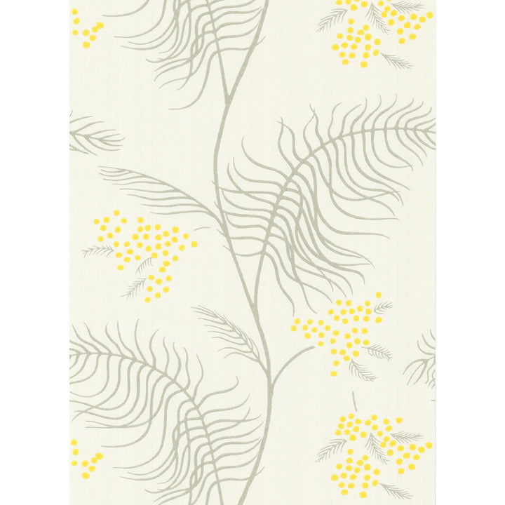 Mimosa White by Cole & Son Wallcovering COLE & SON NEW CONTEMPORARY II PAPER - 100% United Kingdom - Horizontal: - and Vertical: 24 20.5 - Fabric Carolina -